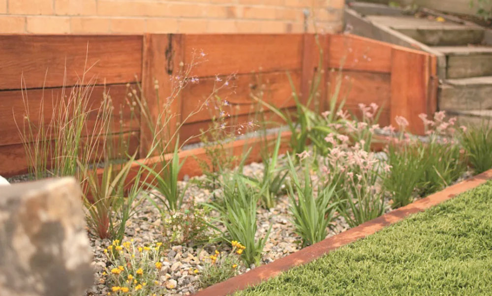 raingarden rain garden